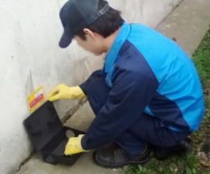 四害消杀